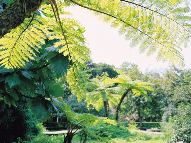 Beitou Community College