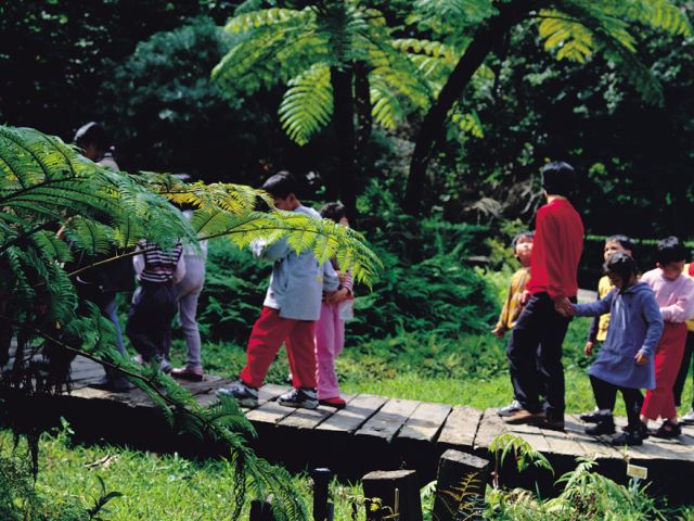 国際的なバードウォッチング生態